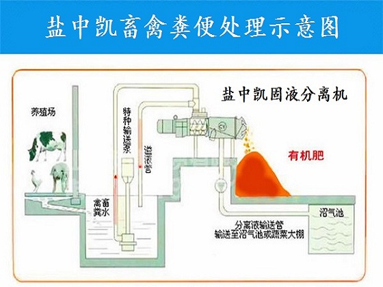 雞糞黄瓜视频导航网站機